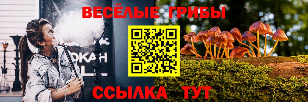 Псилоцибиновые грибы Psilocybine cubensis Саратов