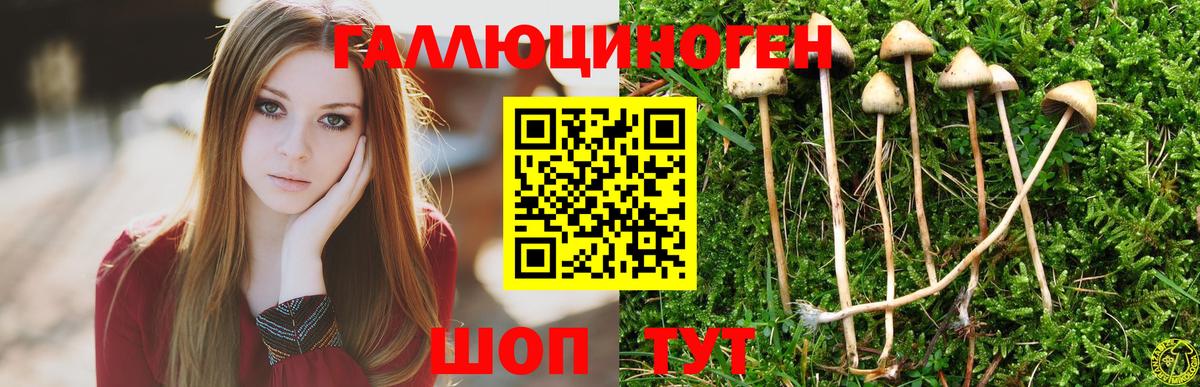 Саратов  Псилоцибиновые грибы мухоморы  Вход с VPN 