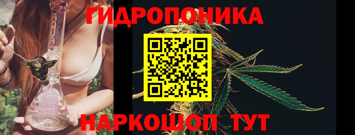 Бошки марихуана OG Kush  Бошки марихуана сатива  Вход с VPN  Марихуана конопля  Саратов  Конопля Ganja 